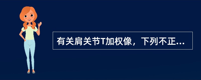 有关肩关节T加权像，下列不正确的是（）