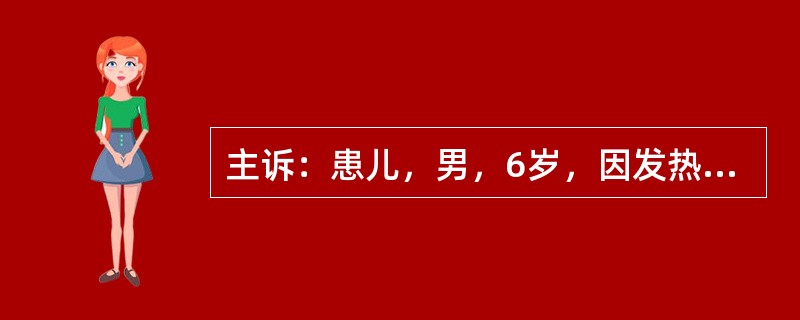 主诉：患儿，男，6岁，因发热2天、皮疹伴腹痛1天入院。病史：患儿于2天前开始发热