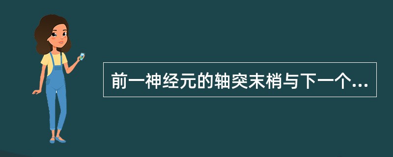 前一神经元的轴突末梢与下一个神经元的树突发生突触联系的是（）