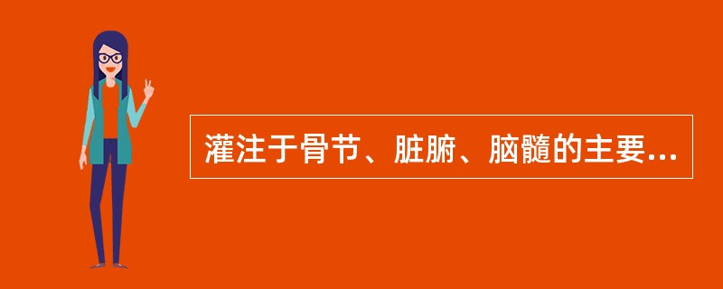 灌注于骨节、脏腑、脑髓的主要是（）