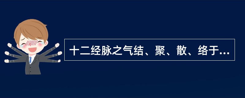 十二经脉之气结、聚、散、络于关节的体系是（）
