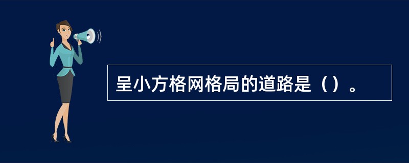 呈小方格网格局的道路是（）。