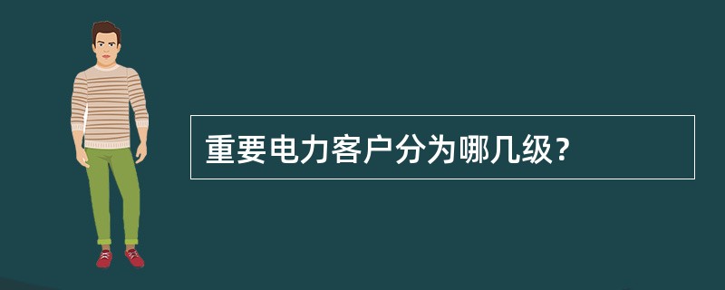 重要电力客户分为哪几级？