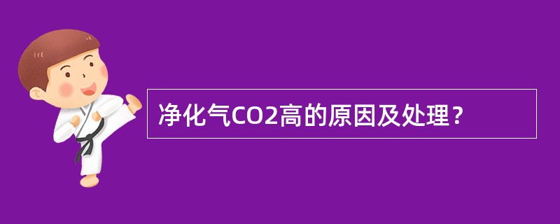 净化气CO2高的原因及处理？