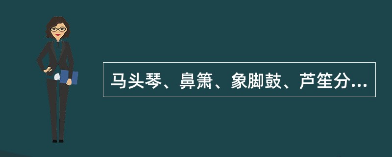 马头琴、鼻箫、象脚鼓、芦笙分别属于（）的乐器。