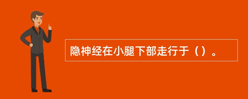 隐神经在小腿下部走行于（）。