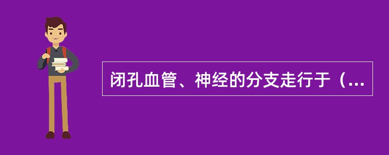 闭孔血管、神经的分支走行于（）。