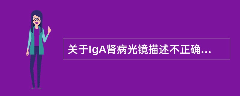 关于IgA肾病光镜描述不正确的是（）。