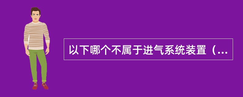 以下哪个不属于进气系统装置（）。