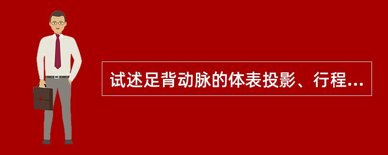 试述足背动脉的体表投影、行程、毗邻及分支。