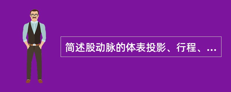 简述股动脉的体表投影、行程、毗邻关系及分支。