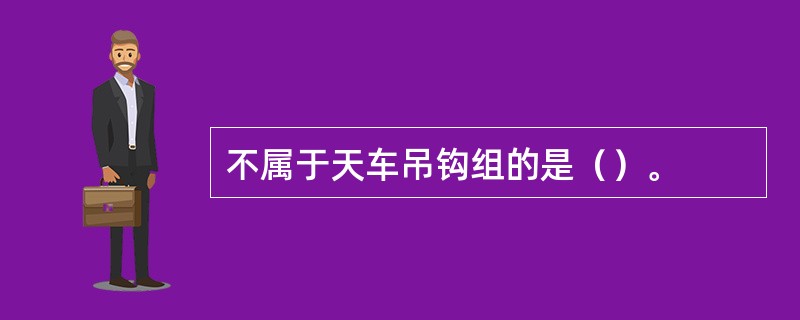 不属于天车吊钩组的是（）。