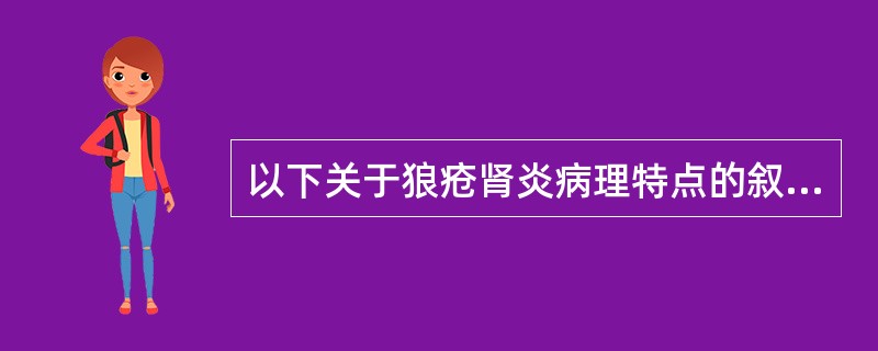 以下关于狼疮肾炎病理特点的叙述不正确的是（）。