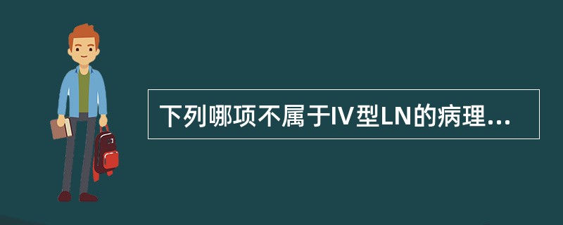 下列哪项不属于Ⅳ型LN的病理特征（）。