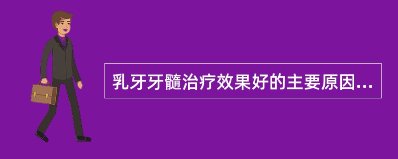 乳牙牙髓治疗效果好的主要原因是（）