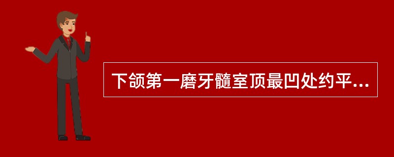 下颌第一磨牙髓室顶最凹处约平齐于（）