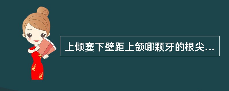 上倾窦下壁距上颌哪颗牙的根尖最近（）