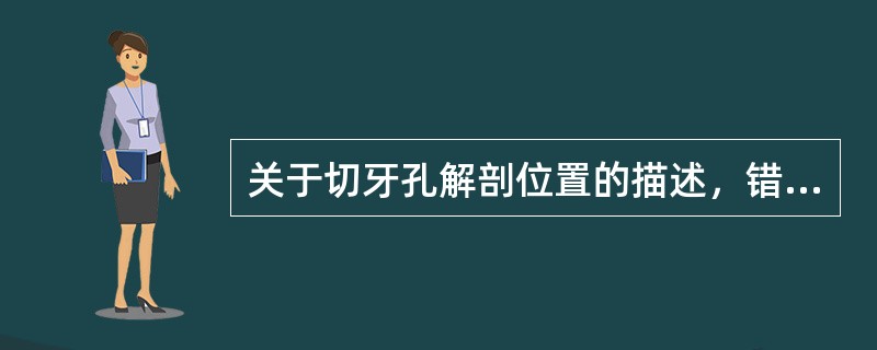 关于切牙孔解剖位置的描述，错误的是（）