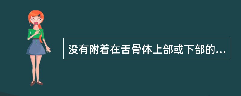 没有附着在舌骨体上部或下部的肌肉是（）