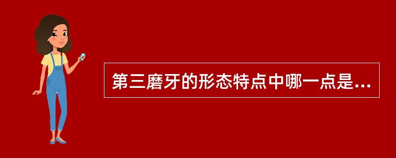 第三磨牙的形态特点中哪一点是错误的（）