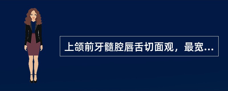 上颌前牙髓腔唇舌切面观，最宽处在（）