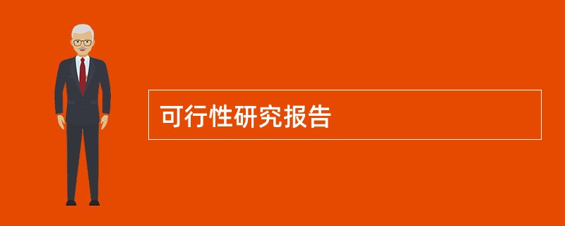 可行性研究报告