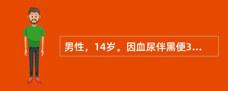 男性，14岁。因血尿伴黑便3天入院，查体：肝脾不大，上腹无压痛。血红蛋白69g/