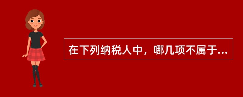 在下列纳税人中，哪几项不属于一般纳税人（）。