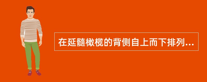 在延髓橄榄的背侧自上而下排列的神经根丝是（）。