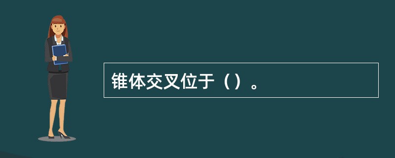 锥体交叉位于（）。