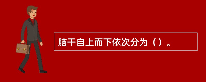 脑干自上而下依次分为（）。