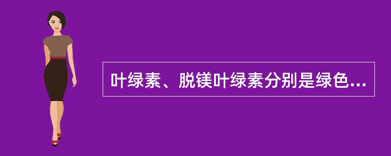 叶绿素、脱镁叶绿素分别是绿色和橄榄褐色的。