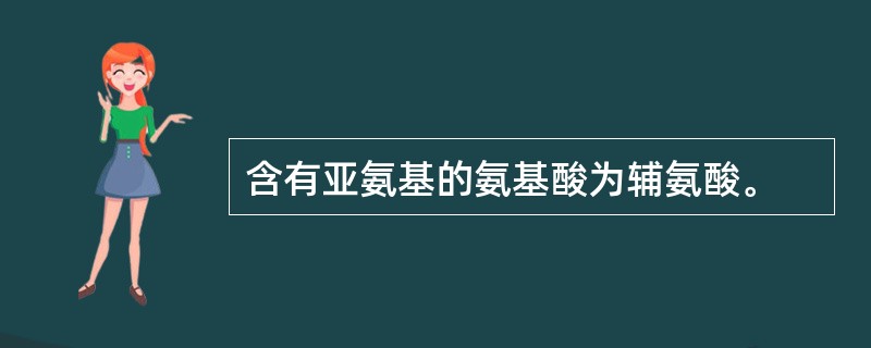 含有亚氨基的氨基酸为辅氨酸。