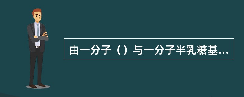 由一分子（）与一分子半乳糖基缩合而成的双糖是（）。