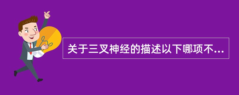 关于三叉神经的描述以下哪项不正确()
