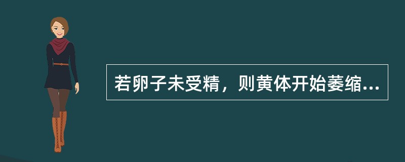 若卵子未受精，则黄体开始萎缩的时间约在排卵后（）