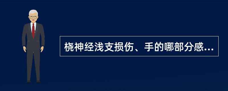 桡神经浅支损伤、手的哪部分感觉失()