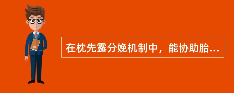 在枕先露分娩机制中，能协助胎先露内旋转的力是（）