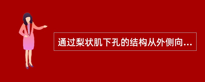 通过梨状肌下孔的结构从外侧向内侧依次是_________、_________、_