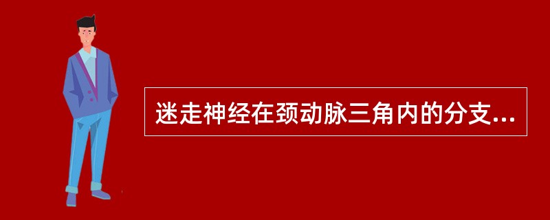 迷走神经在颈动脉三角内的分支有______和______。