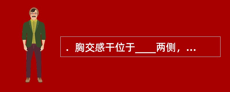 ．胸交感干位于____两侧，由10～12个__________和______组成