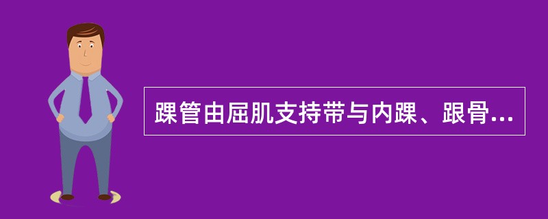 踝管由屈肌支持带与内踝、跟骨围成，内有胫神经通过，最靠前的是胫骨后肌腱。