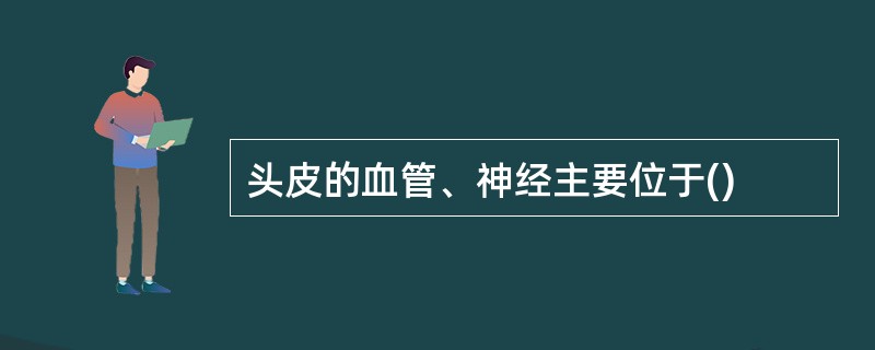 头皮的血管、神经主要位于()