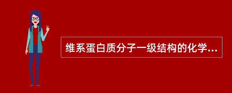 维系蛋白质分子一级结构的化学键是