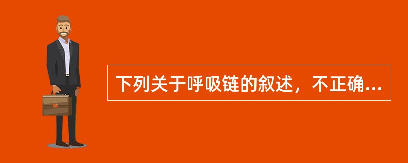 下列关于呼吸链的叙述，不正确的是