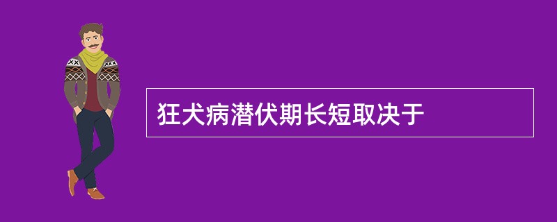 狂犬病潜伏期长短取决于