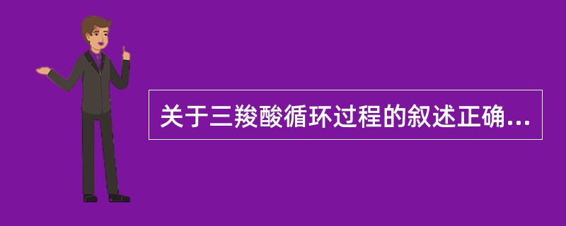 关于三羧酸循环过程的叙述正确的是