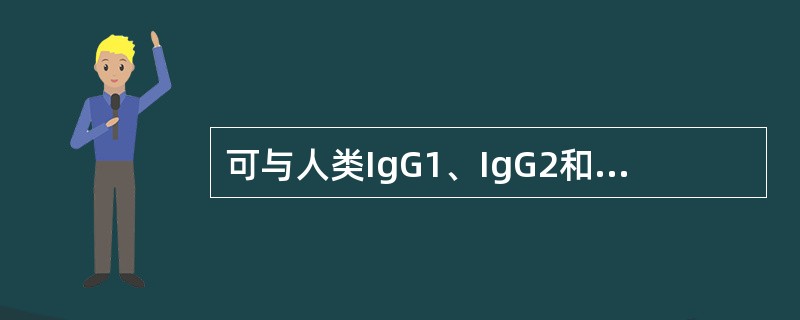 可与人类IgG1、IgG2和IgG4的Fc段发生特异结合的细菌表面蛋白是