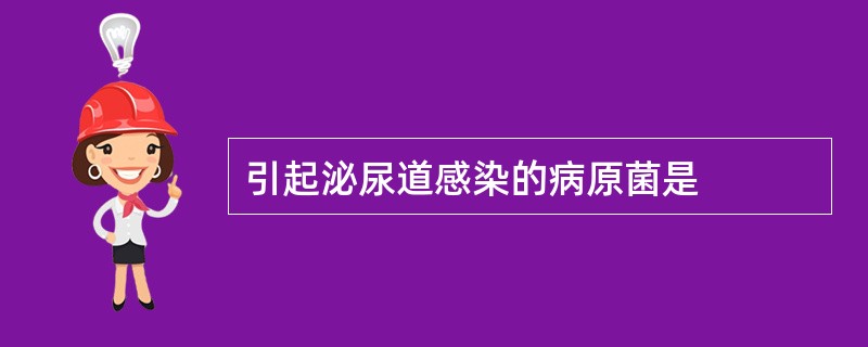 引起泌尿道感染的病原菌是