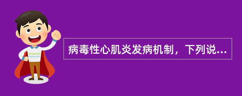 病毒性心肌炎发病机制，下列说法错误的是（）。